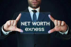 Net assets of Exness Company